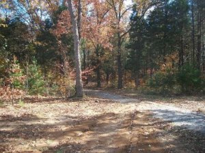 210 Pates Ford Rd, Walling, TN 38587 photo 11