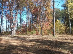 210 Pates Ford Rd, Walling, TN 38587 photo 13