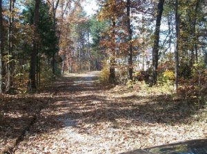 210 Pates Ford Rd, Walling, TN 38587 photo 12