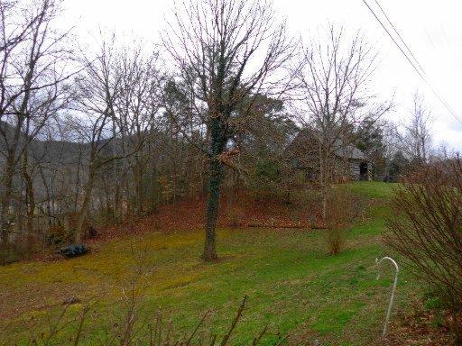 226 Webb Rd, Townsend, TN 37882 photo 6