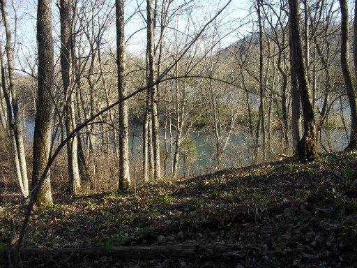 919 Eagle Bend Rd, Clinton, TN 37716 photo 3