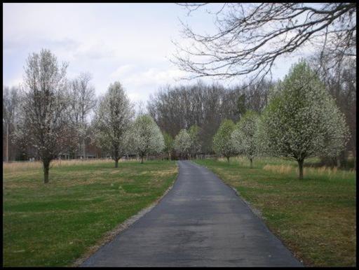 945 Kilby Rd, Clarkrange, TN 38553 photo 26
