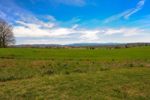 5203 Gregory Rd, Greenback, TN 37742 photo 2