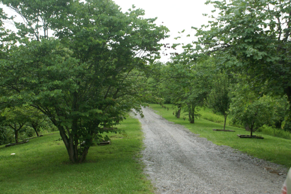 1858 Range Rd, Dandridge, TN 37725 photo 29