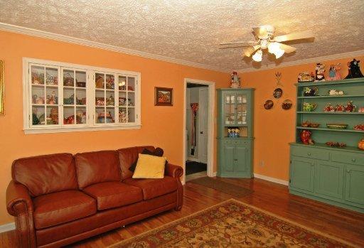 331 E Chestnut Hill Rd, Townsend, TN 37882 photo 13