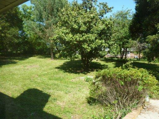 309 Irwin Rd, Powell, TN 37849 photo 18