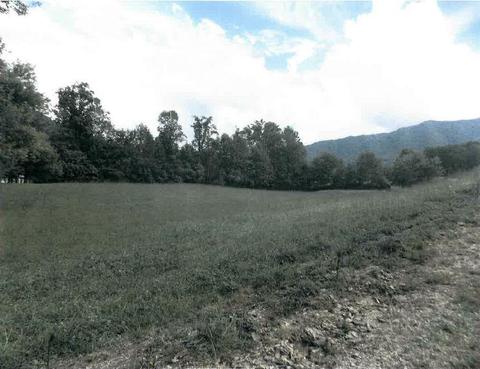 814 Cavern Rd, Townsend, TN 37882 photo 1