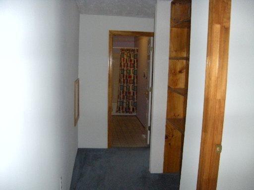 486 Wolfe Rd, Luttrell, TN 37779 photo 15