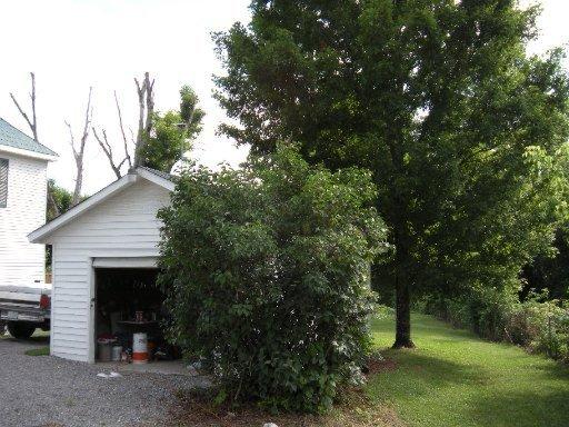 486 Wolfe Rd, Luttrell, TN 37779 photo 32
