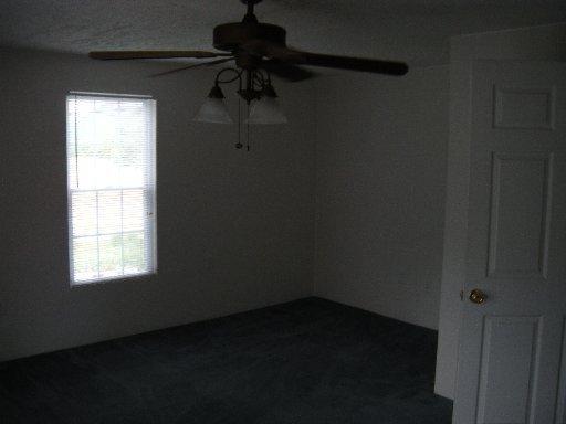 486 Wolfe Rd, Luttrell, TN 37779 photo 17