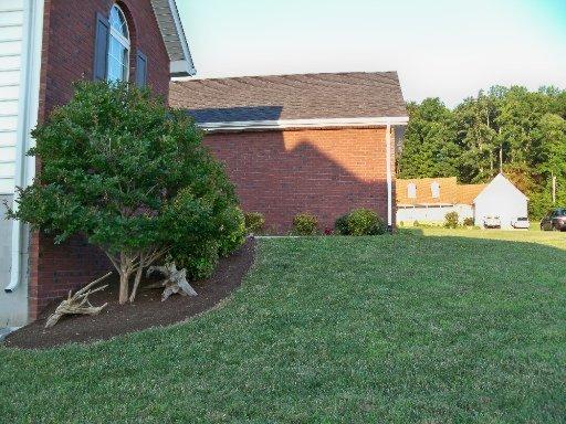 6509 Ruby June Ln, Corryton, TN 37721 photo 3