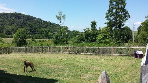 6629 Ruby June Ln, Corryton, TN 37721 photo 3