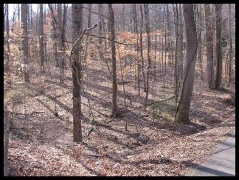3909 Idumea Rd, Corryton, TN 37721 photo 3