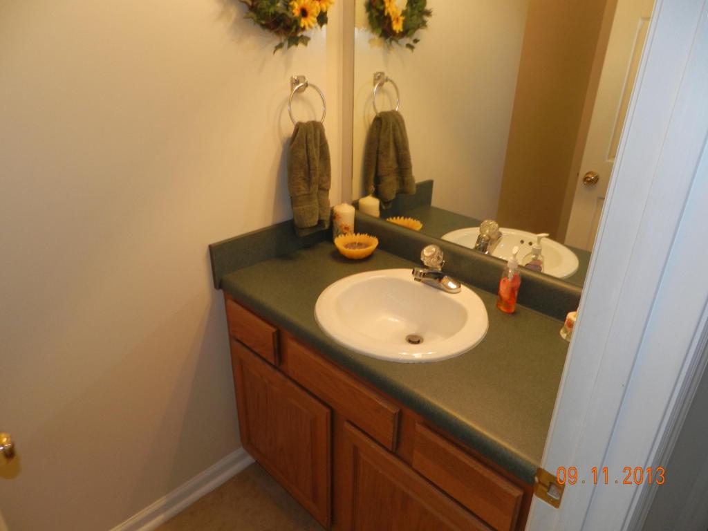 313 Nicely Tr, Powell, TN 37849 photo 30