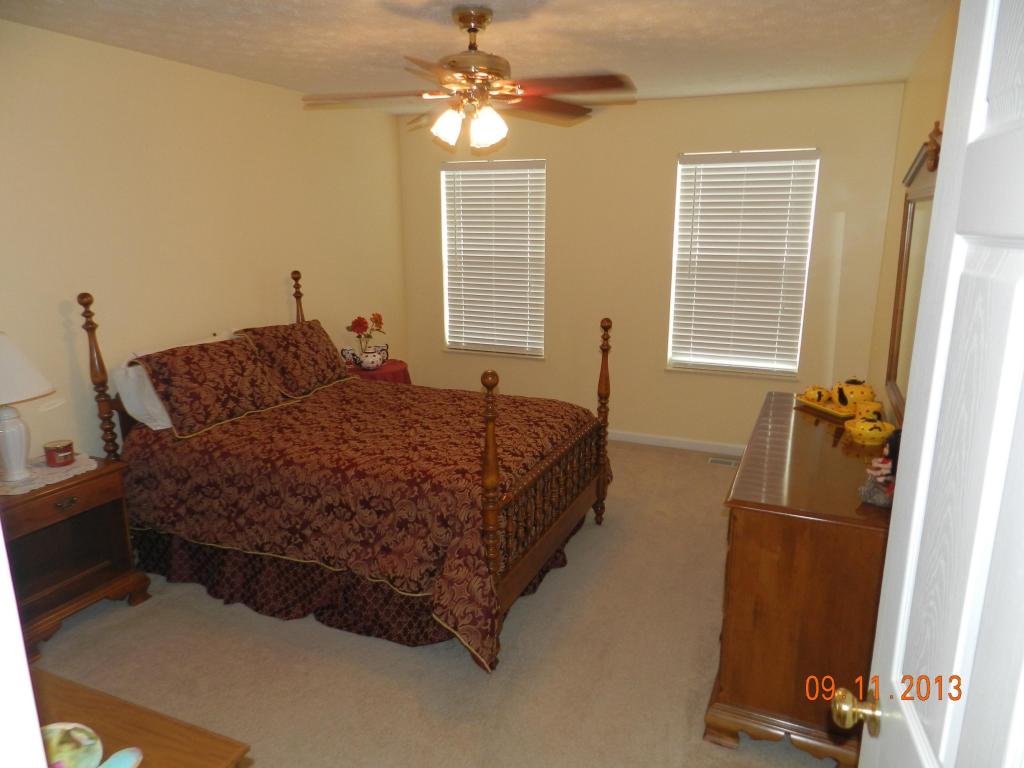 313 Nicely Tr, Powell, TN 37849 photo 10