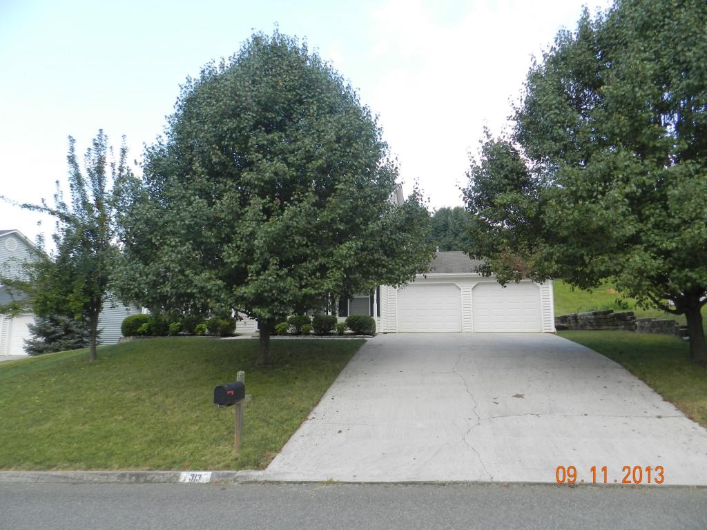 313 Nicely Tr, Powell, TN 37849 photo 1