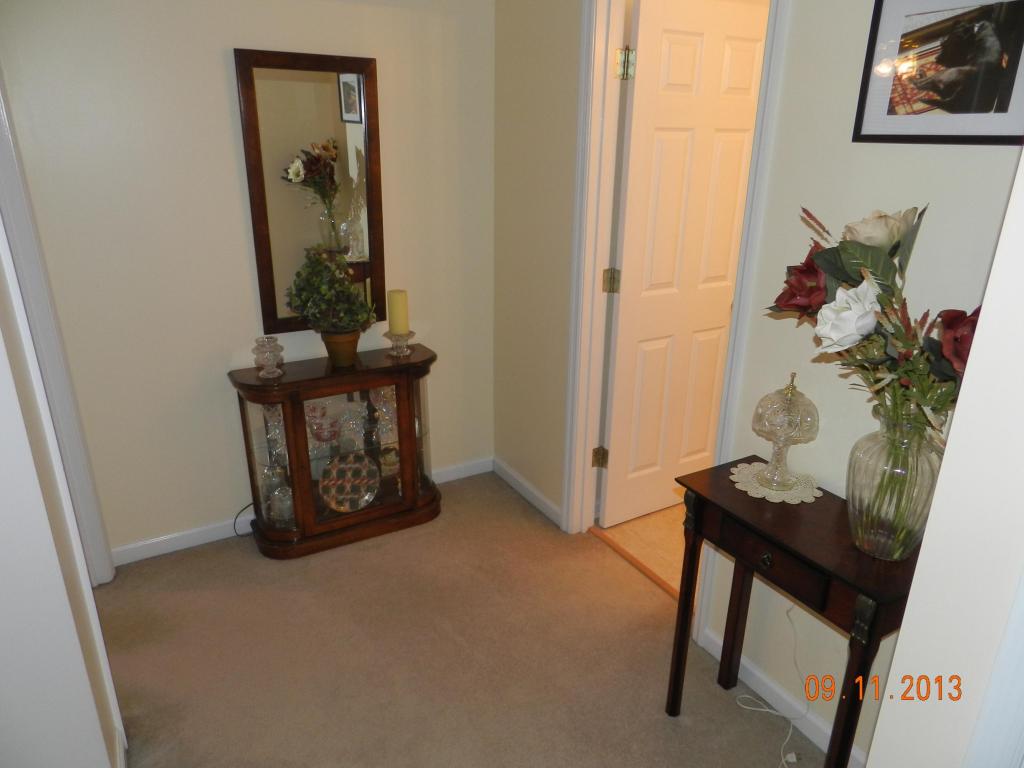 313 Nicely Tr, Powell, TN 37849 photo 11