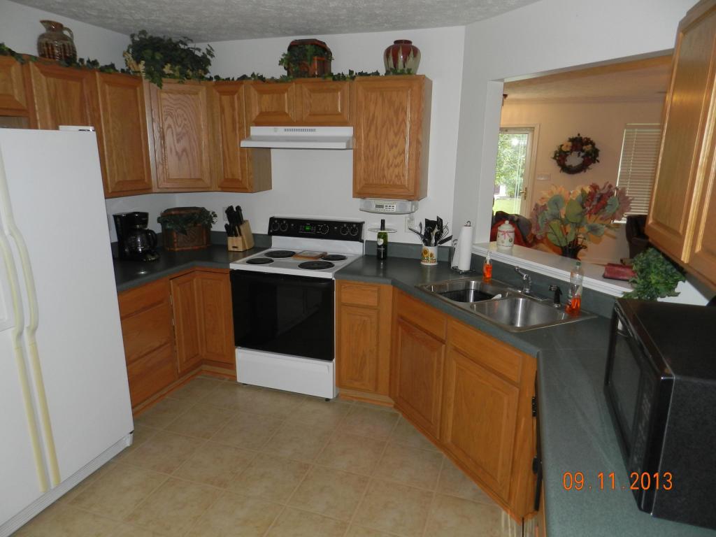 313 Nicely Tr, Powell, TN 37849 photo 27