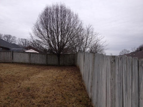 7647 Cotton Patch Rd, Corryton, TN 37721 photo 18