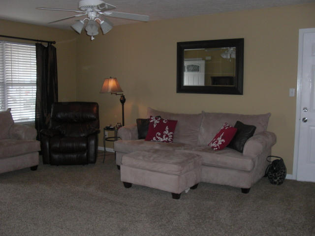 7647 Cotton Patch Rd, Corryton, TN 37721 photo 7
