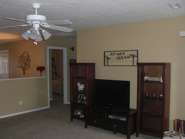 7647 Cotton Patch Rd, Corryton, TN 37721 photo 5