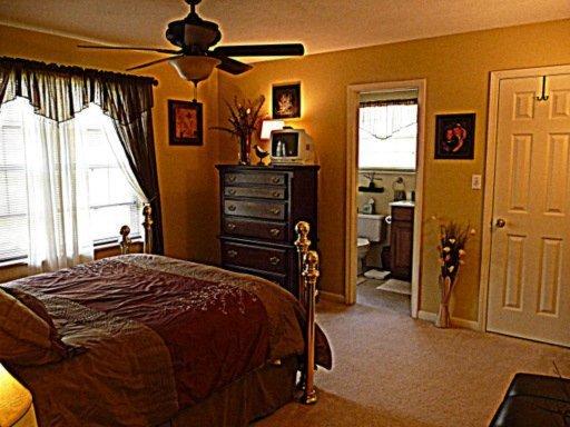 7437 Cotton Patch Rd, Corryton, TN 37721 photo 16