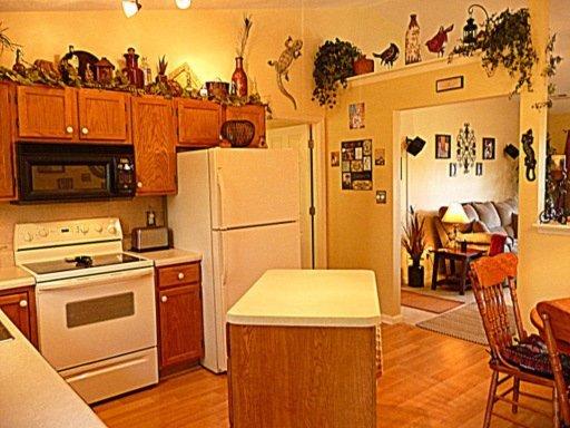 7437 Cotton Patch Rd, Corryton, TN 37721 photo 10