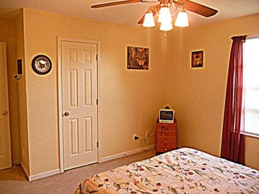 7437 Cotton Patch Rd, Corryton, TN 37721 photo 21