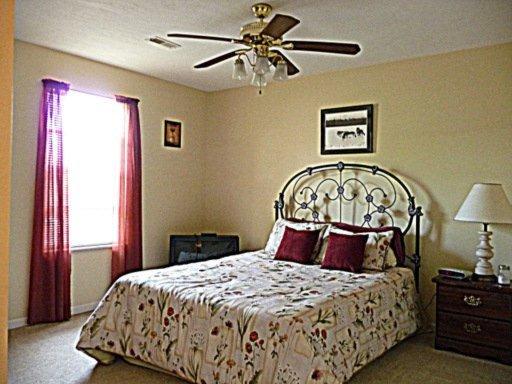 7437 Cotton Patch Rd, Corryton, TN 37721 photo 19