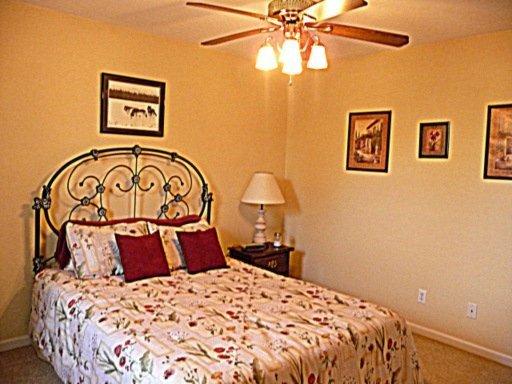7437 Cotton Patch Rd, Corryton, TN 37721 photo 20