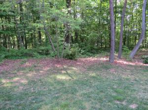 160 White Loop Rd, Clinton, TN 37716 photo 13