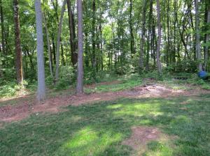 160 White Loop Rd, Clinton, TN 37716 photo 8