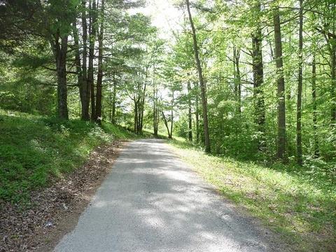 487 Ridge Rd, Lancing, TN 37770 photo 1