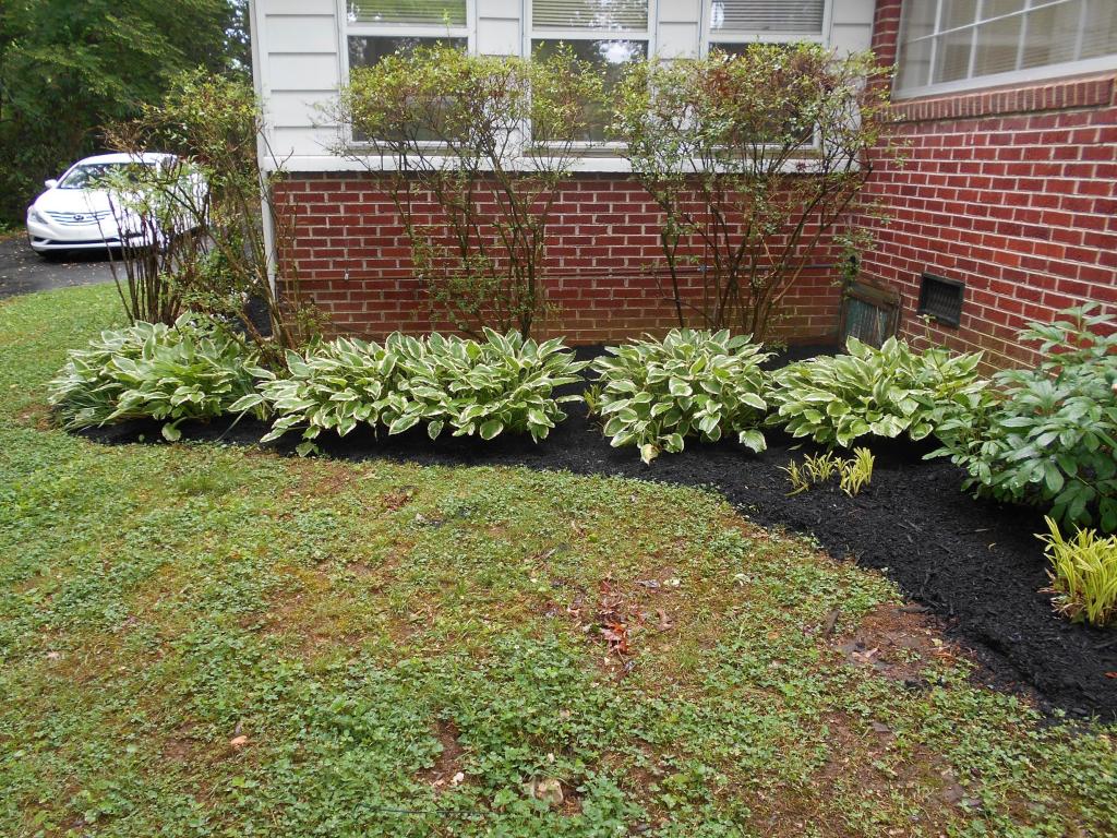 1741 Springbrook Rd, Alcoa, TN 37701 photo 3