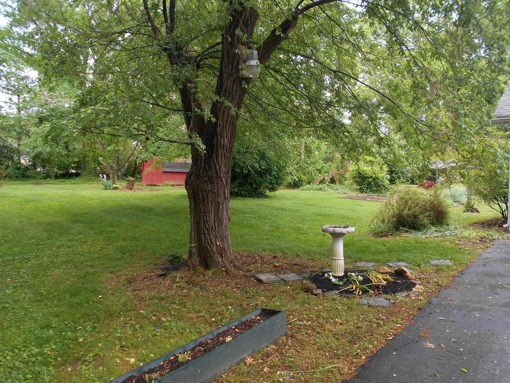 1741 Springbrook Rd, Alcoa, TN 37701 photo 6