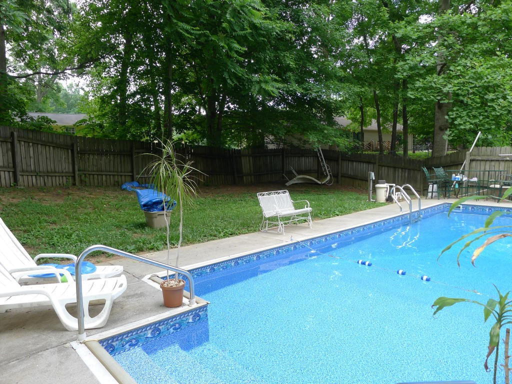 116 Cedar Cir, Powell, TN 37849 photo 34