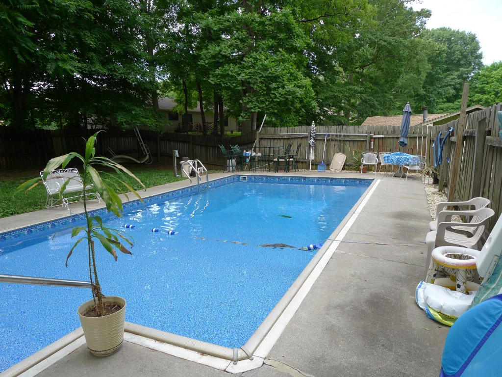 116 Cedar Cir, Powell, TN 37849 photo 33