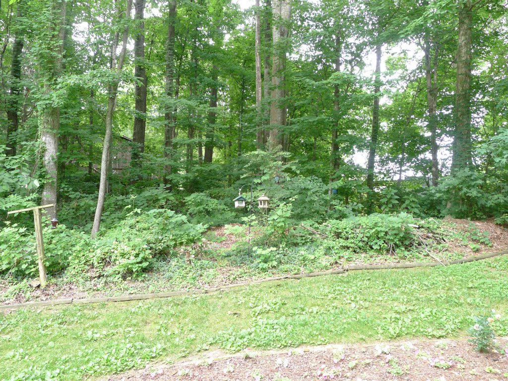 116 Cedar Cir, Powell, TN 37849 photo 23