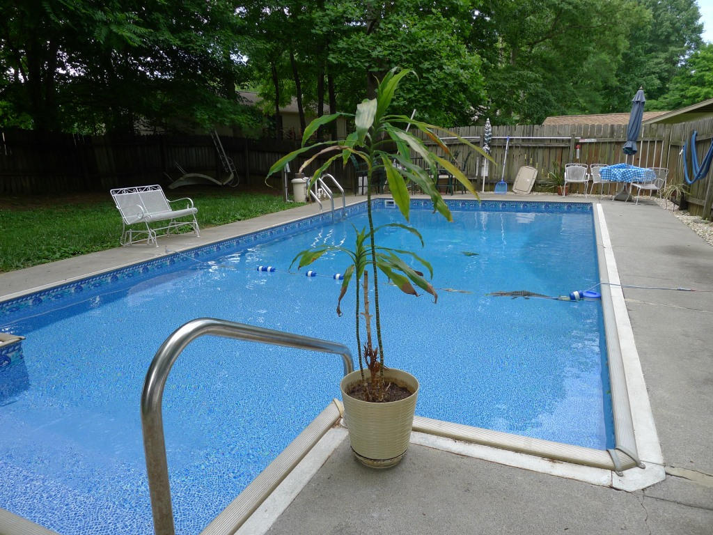 116 Cedar Cir, Powell, TN 37849 photo 28