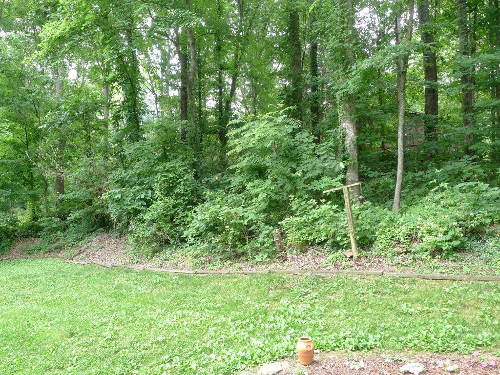 116 Cedar Cir, Powell, TN 37849 photo 24