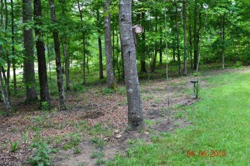 898 Buffalo Tr, Clarkrange, TN 38553 photo 35