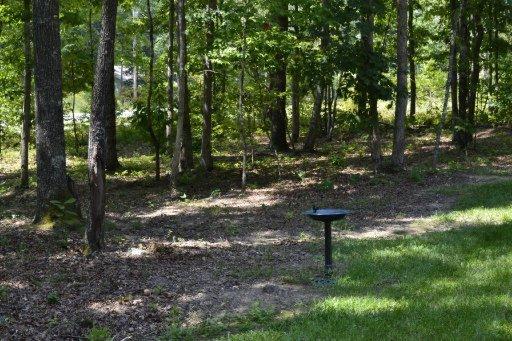 898 Buffalo Tr, Clarkrange, TN 38553 photo 23