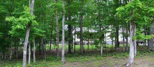 898 Buffalo Tr, Clarkrange, TN 38553 photo 26