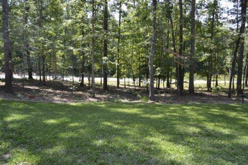 898 Buffalo Tr, Clarkrange, TN 38553 photo 20