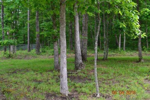 898 Buffalo Tr, Clarkrange, TN 38553 photo 29