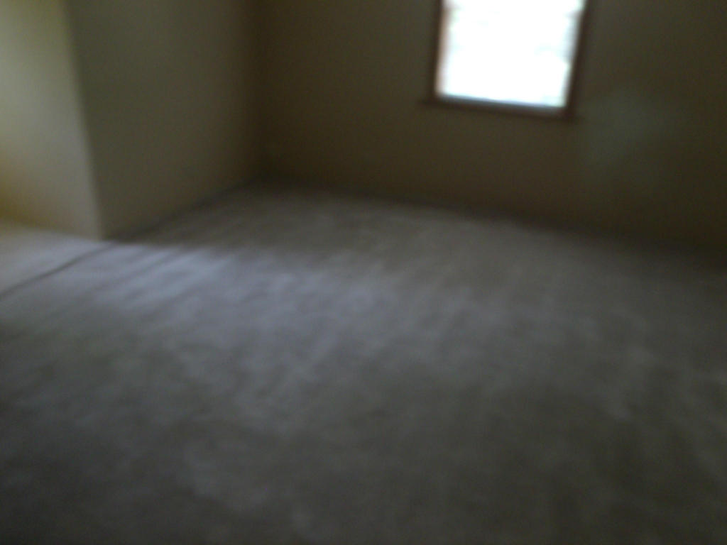 177 Whipperwill Ln, Rutledge, TN 37861 photo 7