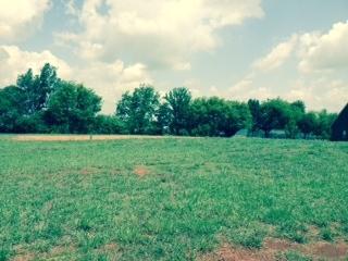 1430 Caleb Tr, Greenback, TN 37742 photo 1
