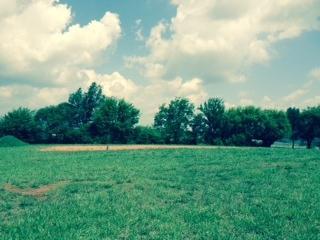 1430 Caleb Tr, Greenback, TN 37742 photo 2