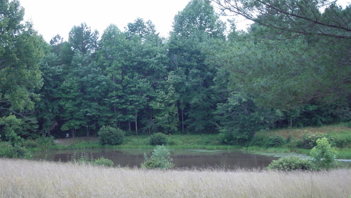 199 Hanahan Rd, Clarkrange, TN 38553 photo 6