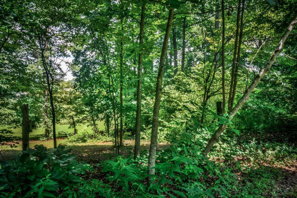 206 Mount Paran Loop, Jacksboro, TN 37757 photo 15